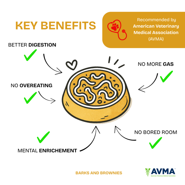 Love Slow Feeder - Red