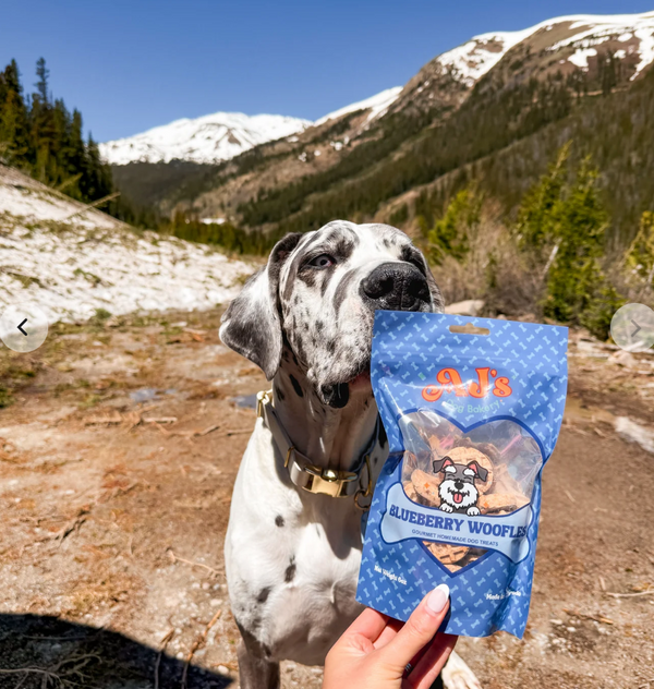 Dog Treat - Blueberry Woofles