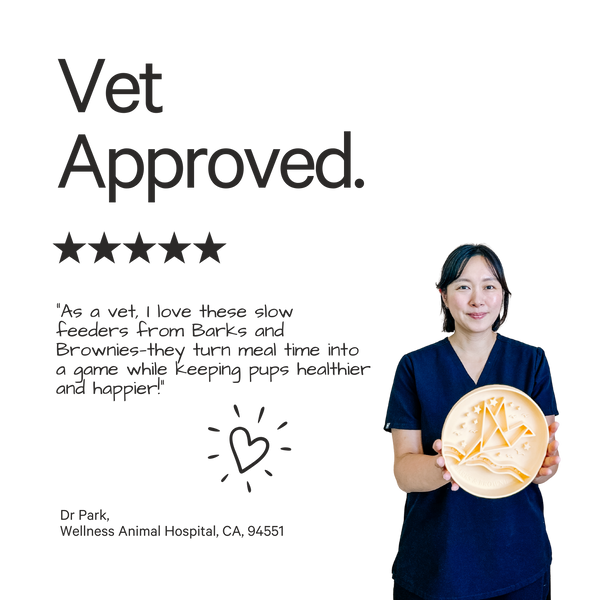 Daisy Slow Feeder - Grass