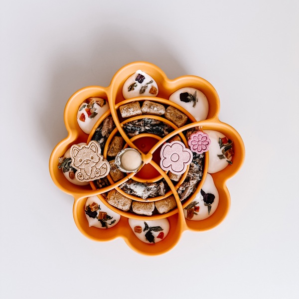 Love Slow Feeder - Tangerine