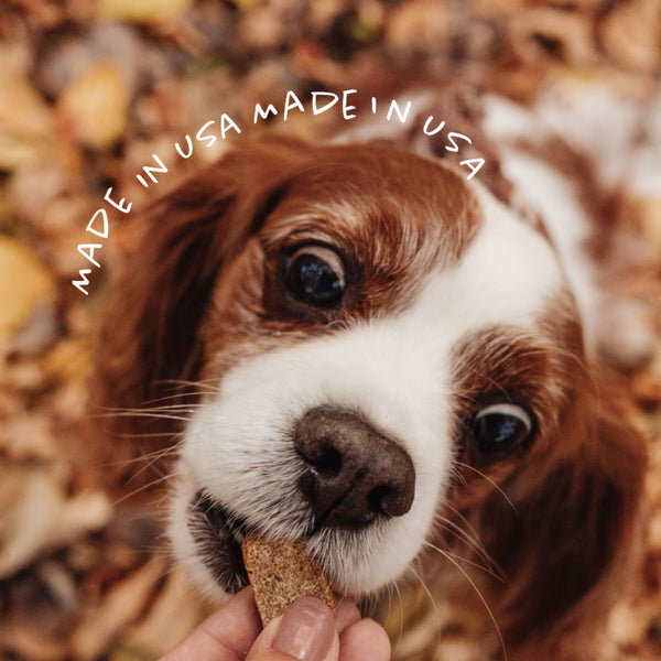 HONEY YAMMY | HEALTHY DIGESTION Dog Treats