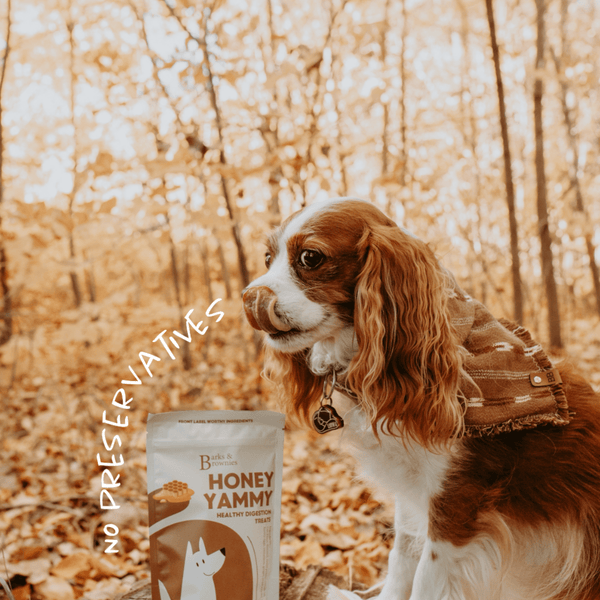 HONEY YAMMY | HEALTHY DIGESTION Dog Treats