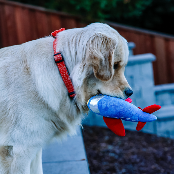 Plane Squeaky Dog Toy