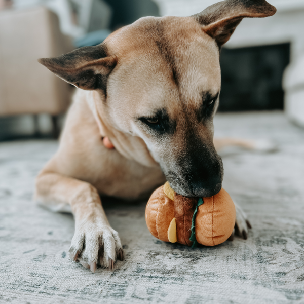 Mini Cheeseburger  Dog Toy