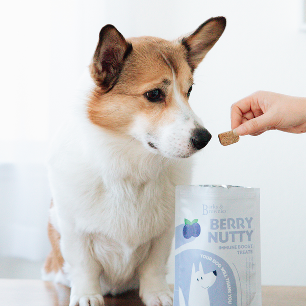 BERRY NUTTY | IMMUNE BOOST Premium Dog Treats