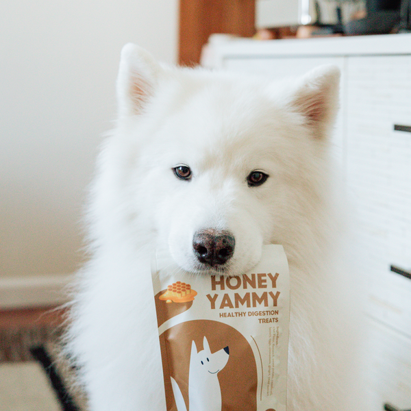 HONEY YAMMY | HEALTHY DIGESTION Premium Dog Treats
