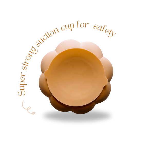 Dog Slow Feeder
