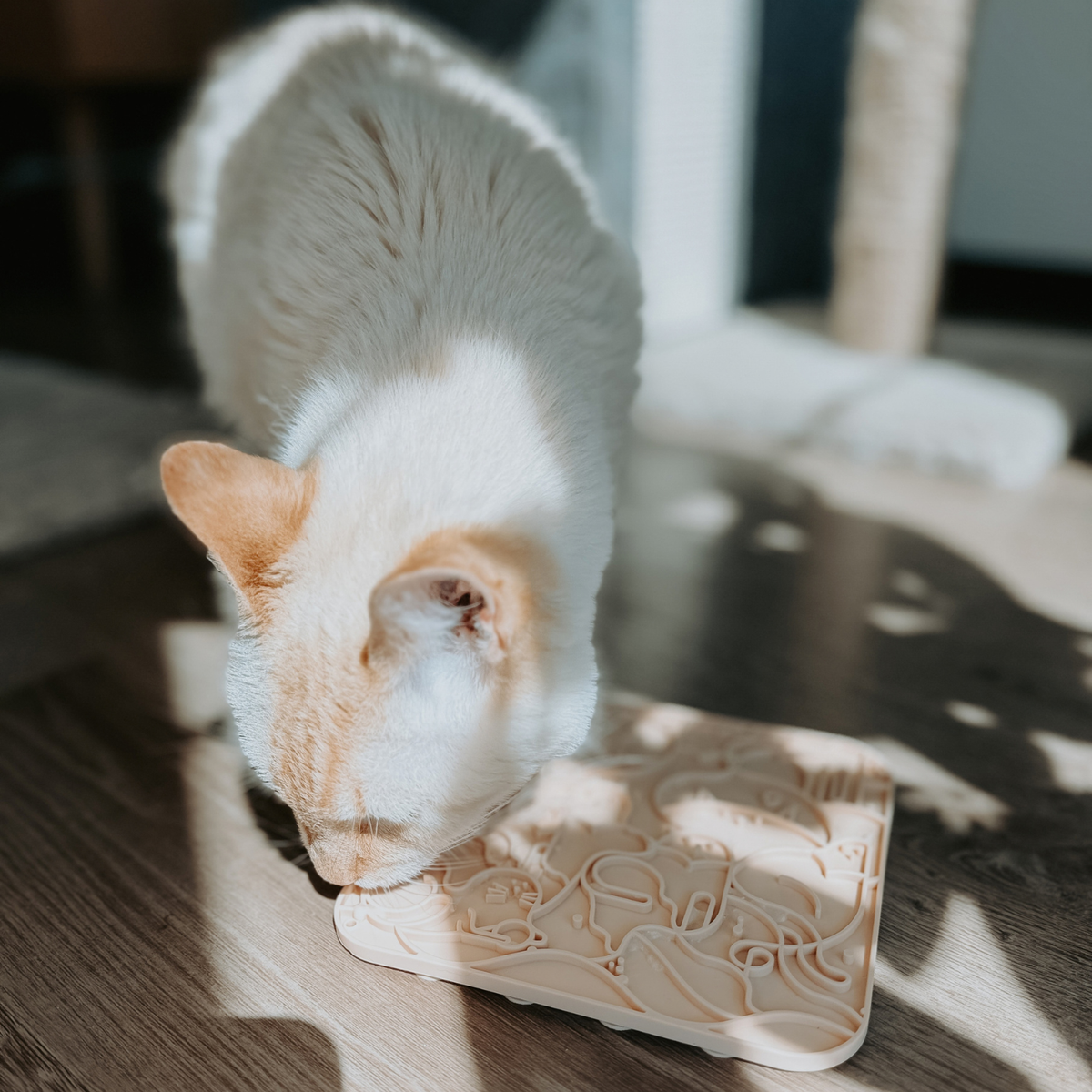 Cat Lick Mat | Small Size | Cloud