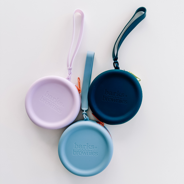 Silicon Treat Pouch - Sky Blue