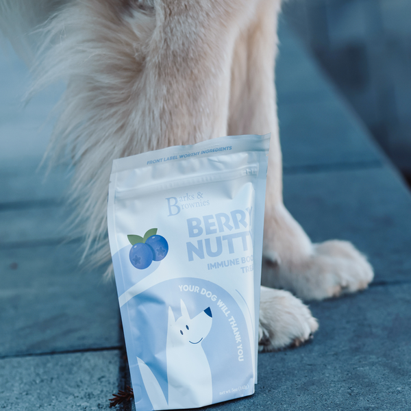 BERRY NUTTY | IMMUNE BOOST Dog Treats