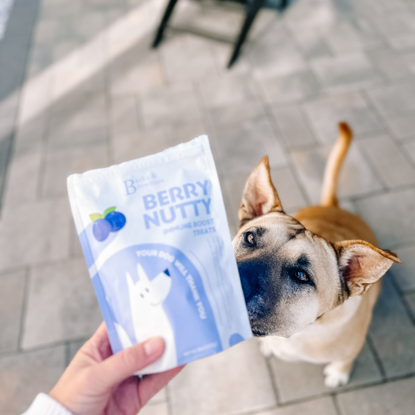 BERRY NUTTY | IMMUNE BOOST Dog Treats