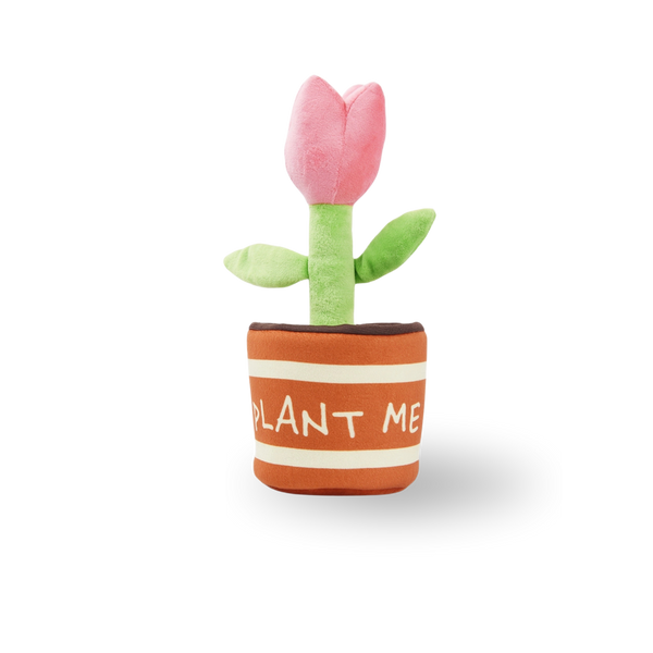 Squeaky Dog Toy | Flower