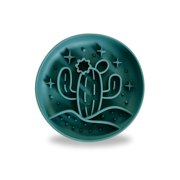 Cactus Slow Feeder - Sea