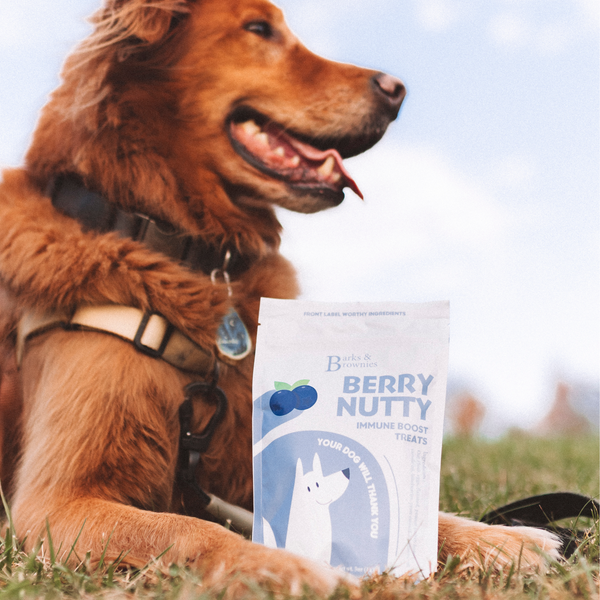 BERRY NUTTY | IMMUNE BOOST Premium Dog Treats