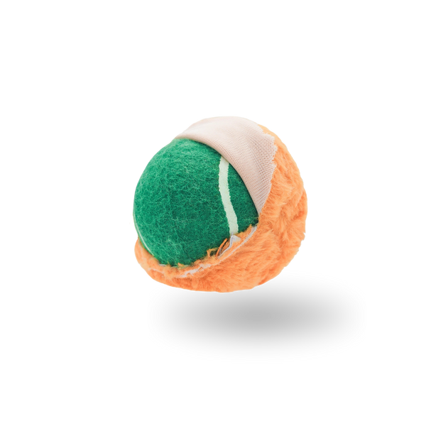 Squeaky Dog Toy | Play Ball