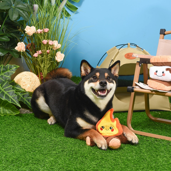Squeaky Dog Toy | Camping Fire