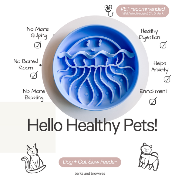 Jelly Fish Slow Feeder