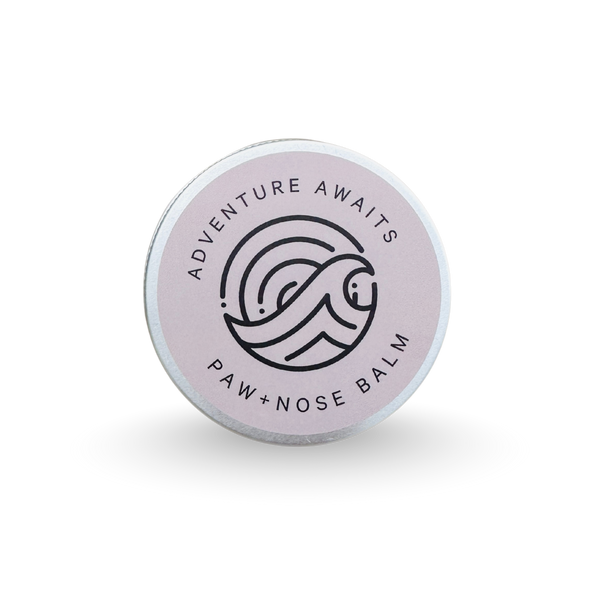 NEW ! Paw Balm | Dogs + Cats