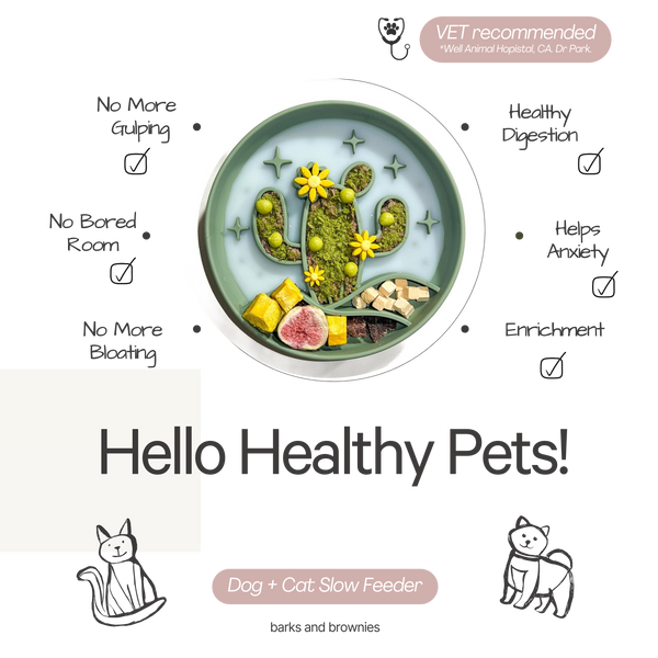 Cactus Slow Feeder - Grass