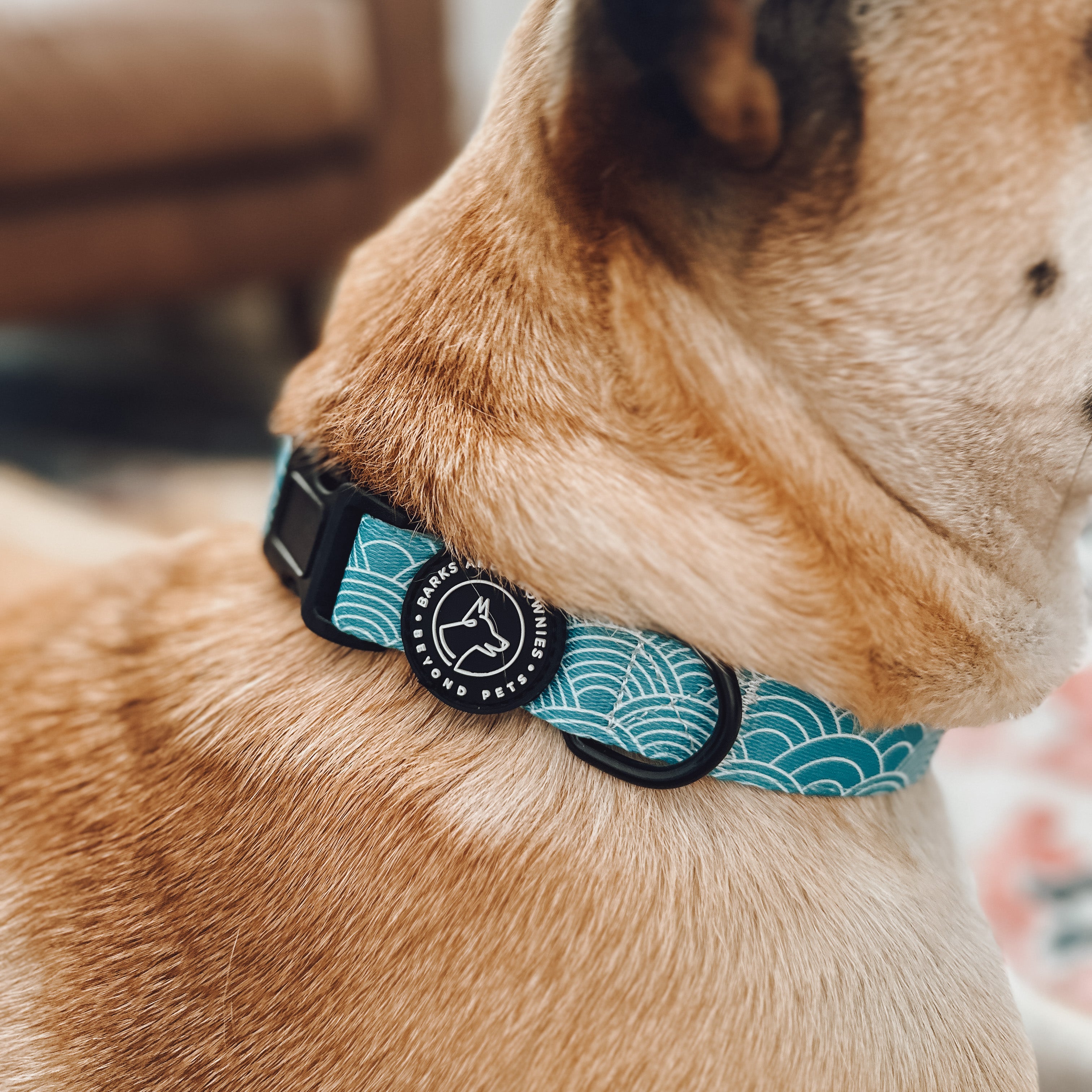 Japanese Waves Dog Collar